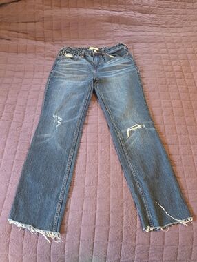Cleo + Wolf Straight Leg Distressed Blue Jeans